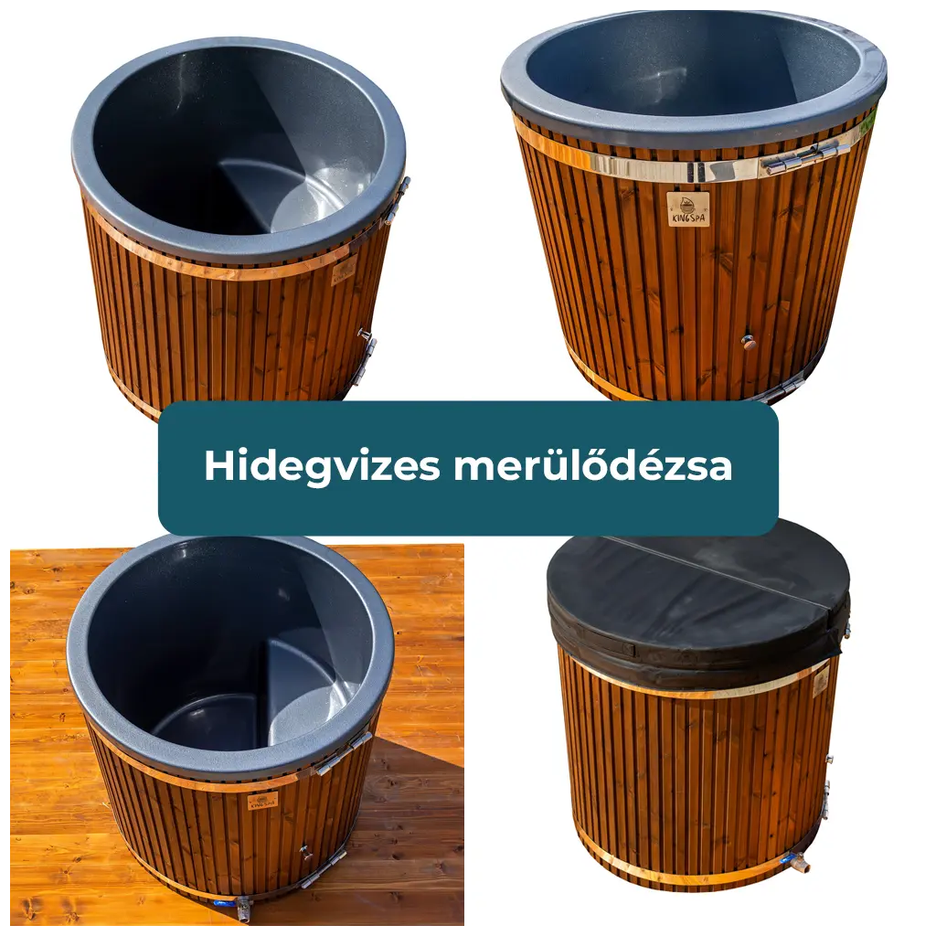 Hidegvizes-merulodezsa.webp